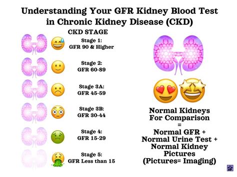 blood test shows drop in kidney function|irregular kidney function test results.